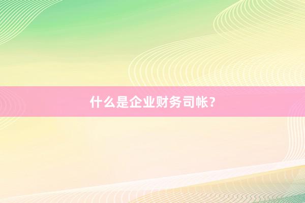 什么是企业财务司帐？