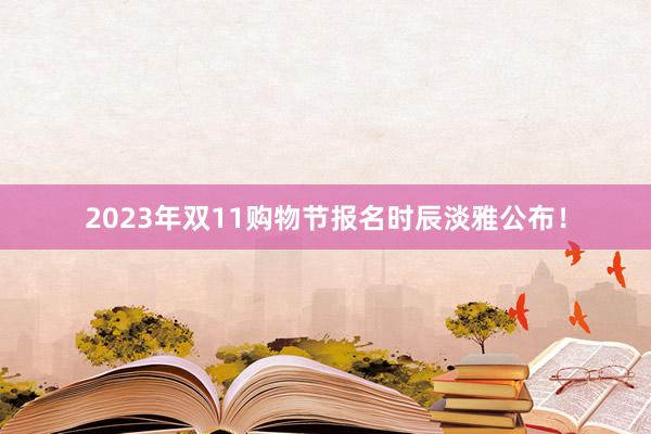 2023年双11购物节报名时辰淡雅公布！