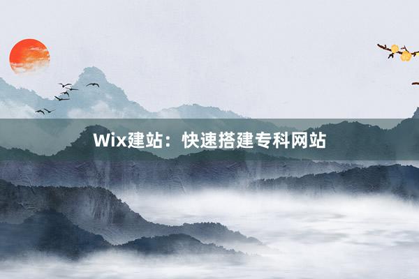 Wix建站：快速搭建专科网站